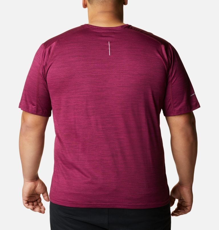 Men's Columbia Alpine Chill Zero Short Sleeve Crew T Shirts Fuchsia | Plus Size CA-LL3C6